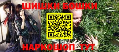 спиды Сланцы